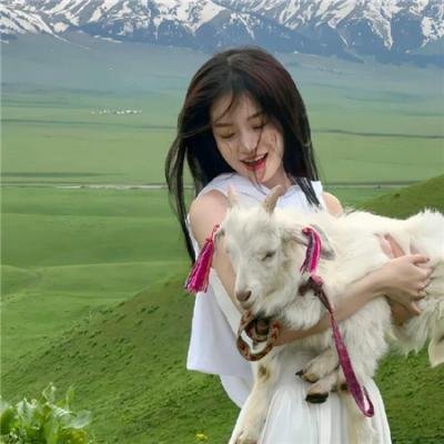 我的英雄学院第六季